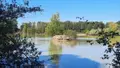 Terrains de loisirs bois etangs a vendre Arthon 36330 Indre 36 196200 euros 021/1555 006