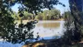 Terrains de loisirs bois etangs a vendre Arthon 36330 Indre 36 196200 euros 021/1555 002
