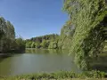 Terrains de loisirs bois etangs a vendre La Roche-Neuville 53200 Mayenne 53 95700 euros 53073-1758 005