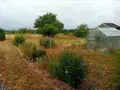 Maison a vendre Le Grand-Lucé 72150 Sarthe 72 130 m2 7 pièces 215250 euros 72012-1084489 043