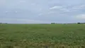 Bien agricole a vendre Neuvy-Pailloux 36100 Indre 36 6400000 euros 021/1568 003