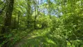 Maison a vendre Vendœuvres 36500 Indre 36 145 m2 5 pièces 1090000 euros 021/1582 010