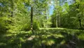Maison a vendre Vendœuvres 36500 Indre 36 145 m2 5 pièces 1090000 euros 021/1582 011