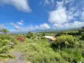 Immeuble de rapport a vendre Le Tampon 97430 La Réunion 974 308 m2 416000 euros 38606 015