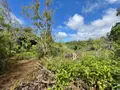 Terrain a batir a vendre Saint-Joseph 97480 La Réunion 974 86000 euros 28583 001