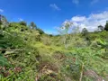 Terrain a batir a vendre Saint-Joseph 97480 La Réunion 974 86000 euros 28583 002