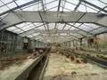 Maison a vendre Veules-les-Roses 76980 Seine-Maritime 76 300 m2 14 pièces 2415000 euros 76044-1092414 013