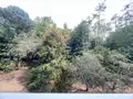 Appartement a vendre La Rochelle 17000 Charente-Maritime 17 105 m2 4 pièces 395200 euros 17112-435 012