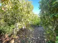 Maison a vendre Saint-Rogatien 17220 Charente-Maritime 17 156 m2 5 pièces 476100 euros 17112-436 015
