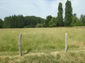 Terrain a batir a vendre Marigné-Laillé 72220 Sarthe 72 33800 euros 72012-1094963 002