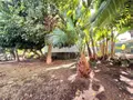 Maison a vendre Le Tampon 97430 La Réunion 974 85 m2 5 pièces 335000 euros 41320 002