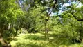Maison a vendre Parigné-l'Évêque 72250 Sarthe 72 109 m2 5 pièces 212000 euros 72012-1095627 002