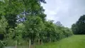 Maison a vendre Parigné-l'Évêque 72250 Sarthe 72 82 m2 3 pièces 154425 euros 72012-1095665 019