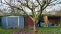 Maison a vendre Parigné-l'Évêque 72250 Sarthe 72 109 m2 5 pièces 262500 euros 72012-1095739 036