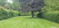 Maison a vendre Valloire-sur-Cisse 41150 Loir-et-Cher 41 124 m2 4 pièces 710810 euros 41002-1096634 017