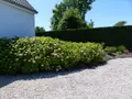 Maison a vendre Gouville-sur-Mer 50560 Manche 50 108 m2 6 pièces 325840 euros 50061-1095603 006