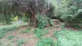 Maison a vendre Brette-les-Pins 72250 Sarthe 72 60 m2 1 pièce 33800 euros 72012-1096742 009