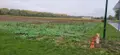 Terrain a batir a vendre Vouzy 51130 Marne 51 40000 euros 51011-1096888 001