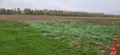 Terrain a batir a vendre Vouzy 51130 Marne 51 40000 euros 51011-1096888 002