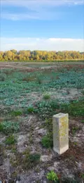 Terrain a batir a vendre Vouzy 51130 Marne 51 40000 euros 51011-1096888 003