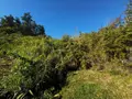 Terrain a batir a vendre La-Montagne 97417 La Réunion 974 299000 euros 21162 001