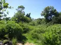 Terrain a batir a vendre Saint-Pierre 97410 La Réunion 974 229000 euros 36109 001
