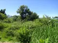 Terrain a batir a vendre Saint-Pierre 97410 La Réunion 974 229000 euros 36109 002