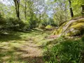Maison a vendre Trégunc 29910 Finistère 29 254 m2 20 pièces 885700 euros 29118-1513 010