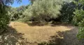 Terrain a batir a vendre Castries 34160 Hérault 34 359850 euros 34012-713 003