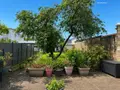 Maison a vendre Le Mans 72000 Sarthe 72 84 m2 3 pièces 159000 euros 72148-65 002
