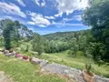 Maison a vendre Grandrieu 48600 Lozère 48 250 m2 368000 euros 48032-238 019