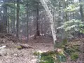 Terrains de loisirs bois etangs a vendre La Folletière-Abenon 14290 Calvados 14 6500 euros 14058-1510 001