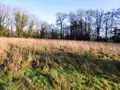 Terrains de loisirs bois etangs a vendre Locmalo 56160 Morbihan 56 26650 euros 56075-2076 004