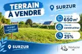 Terrain a batir a vendre Surzur 56450 Morbihan 56 252000 euros 56004-885 001