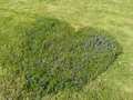 Maison a vendre Roudouallec 56110 Morbihan 56 138 m2 8 pièces 158140 euros 56071-2685 013