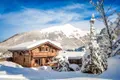 Maison a vendre Morzine 74110 Haute-Savoie 74 230 m2 12 pièces 1550000 euros 74042-169 001