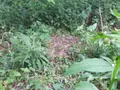 Maison a vendre Locmaria-Grand-Champ 56390 Morbihan 56 171 m2 5 pièces 356722 euros 56005-878 018