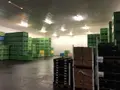 Fonds et murs commerciaux a vendre La Chapelle-d'Aligné 72300 Sarthe 72 27247 m2 2100000 euros 49008-32 003