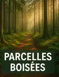 Terrains de loisirs bois etangs a vendre Castello-di-Rostino 20235 Haute-Corse 2B 18000 euros 29107-2765 001