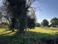 Terrain a batir a vendre Île-d'Arz 56840 Morbihan 56 373540 euros 56003-1351 006