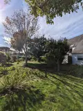 Maison a vendre Plougasnou 29630 Finistère 29 144 m2 5 pièces 463800 euros 29085-733 015