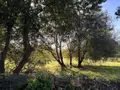 Terrain a batir a vendre Île-d'Arz 56840 Morbihan 56 373540 euros 56003-1351 007