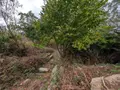 Terrain a batir a vendre Morlaix 29600 Finistère 29 22500 euros 29086-1778 009