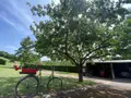 Maison a vendre Ceton 61260 Orne 61 180 m2 5 pièces 260000 euros 72085-2153 009