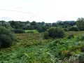 Maison a vendre Kernascléden 56540 Morbihan 56 140 m2 5 pièces 283400 euros 56075-2302 020