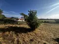 Maison a vendre Ports-sur-Vienne 37800 Indre-et-Loire 37 140 m2 6 pièces 180200 euros 37060-2373 014
