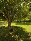 Maison a vendre Pluvigner 56330 Morbihan 56 101 m2 5 pièces 250080 euros 56080-973 005