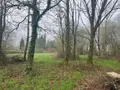 Divers a vendre Courtonne-les-Deux-Églises 14290 Calvados 14 4280 m2 26500 euros 14058-1518 003