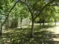 Maison a vendre Plouigneau 29610 Finistère 29 207 m2 6 pièces 377450 euros 29096-741 026