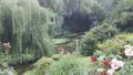Immeuble de rapport a vendre Hémonstoir 22600 Côtes-d'Armor 22 800 m2 332800 euros 22110-2223 012